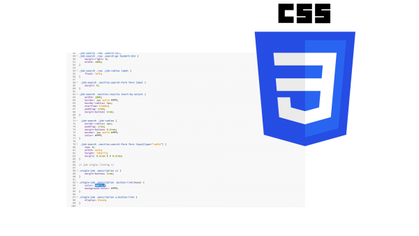 CSS coding logo